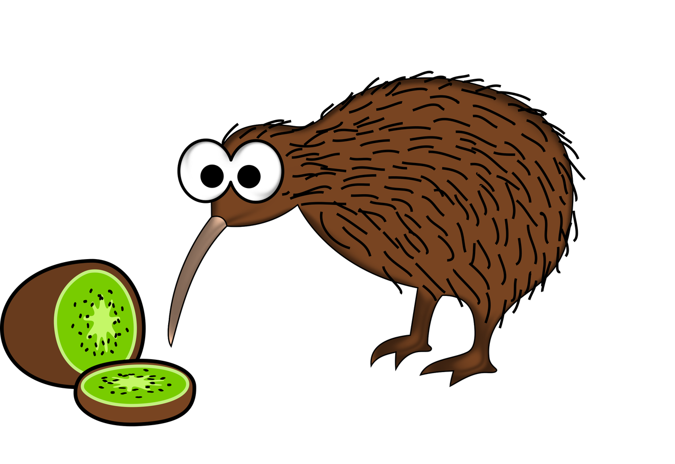 Kiwi Bird Png File (white, olive, maroon, black)