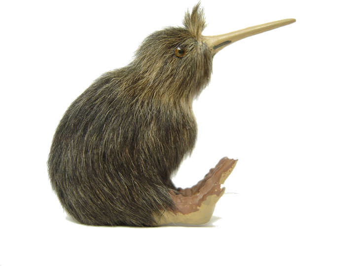 Kiwi Bird Transparent Background (olive, maroon, black)