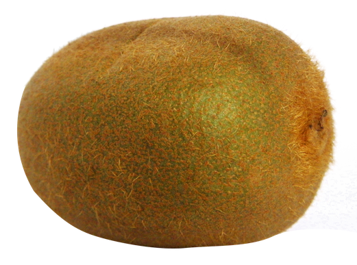 Kiwi Fruit Png File (olive, black)