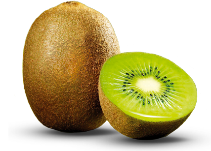 Kiwi Fruit Png (white, olive, black)