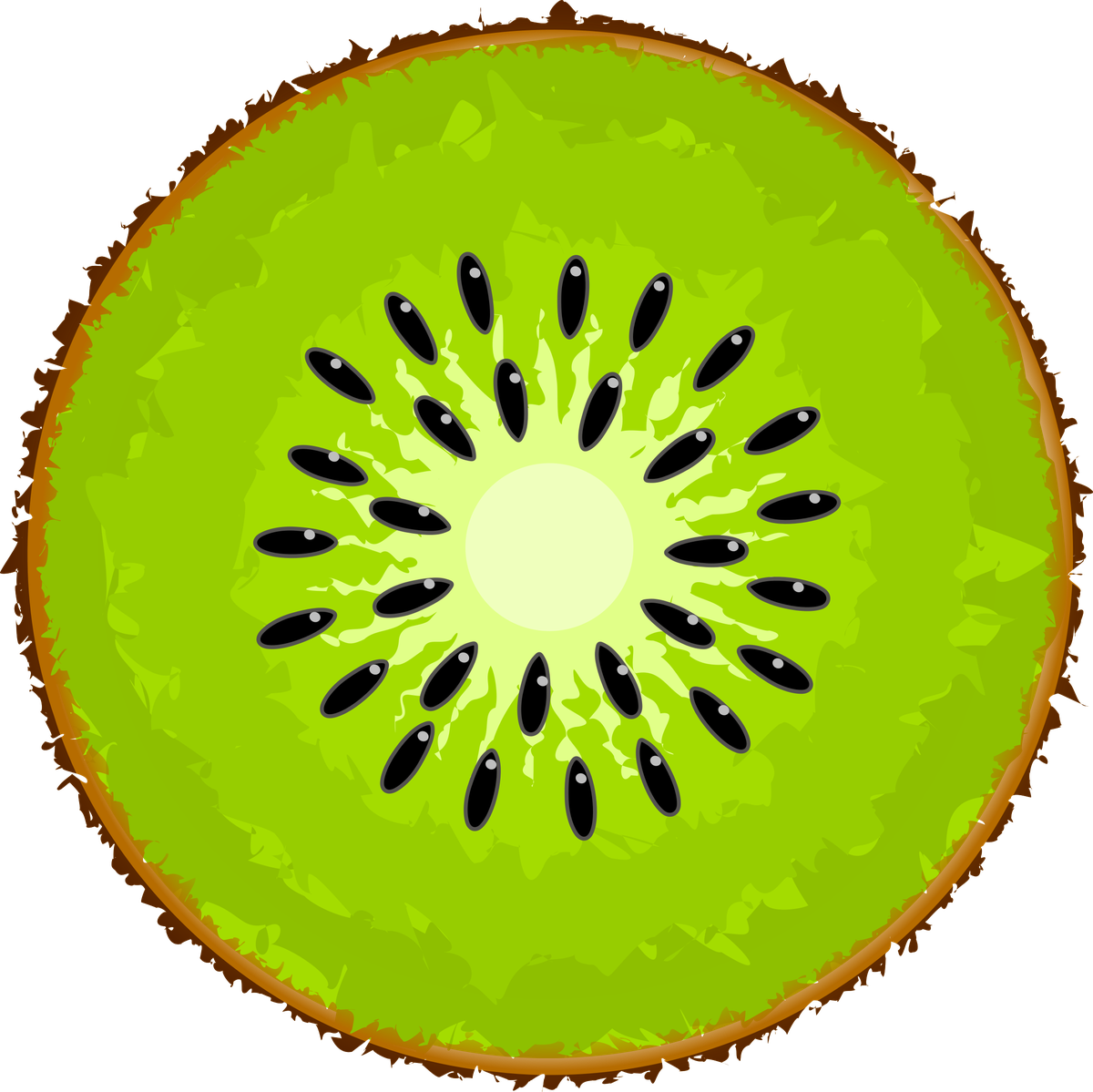 Kiwi Slice Png Image (olive, beige, black, gold)