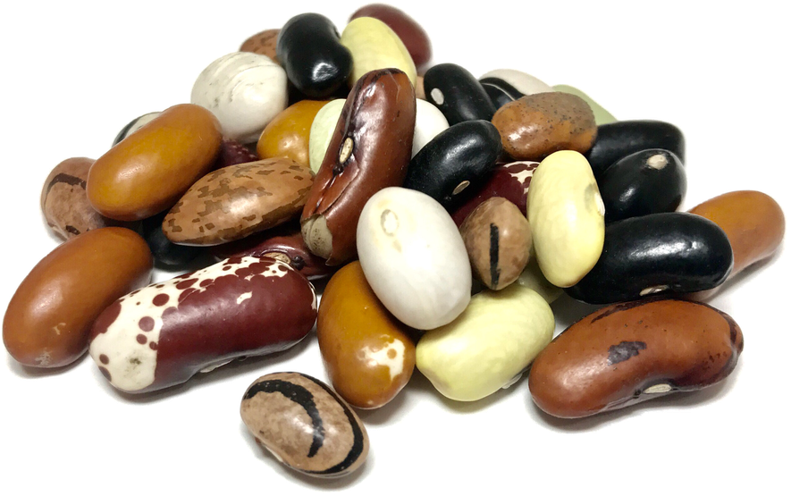 Mixed Kidney Beans Png (white, black, beige)