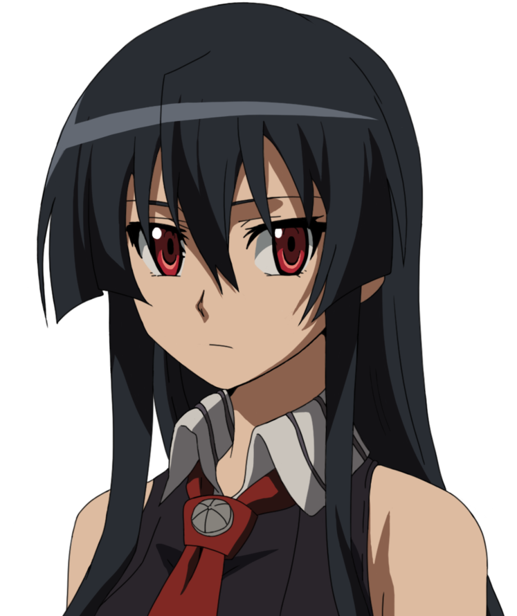 Akame Png Pic (black, gray, silver)