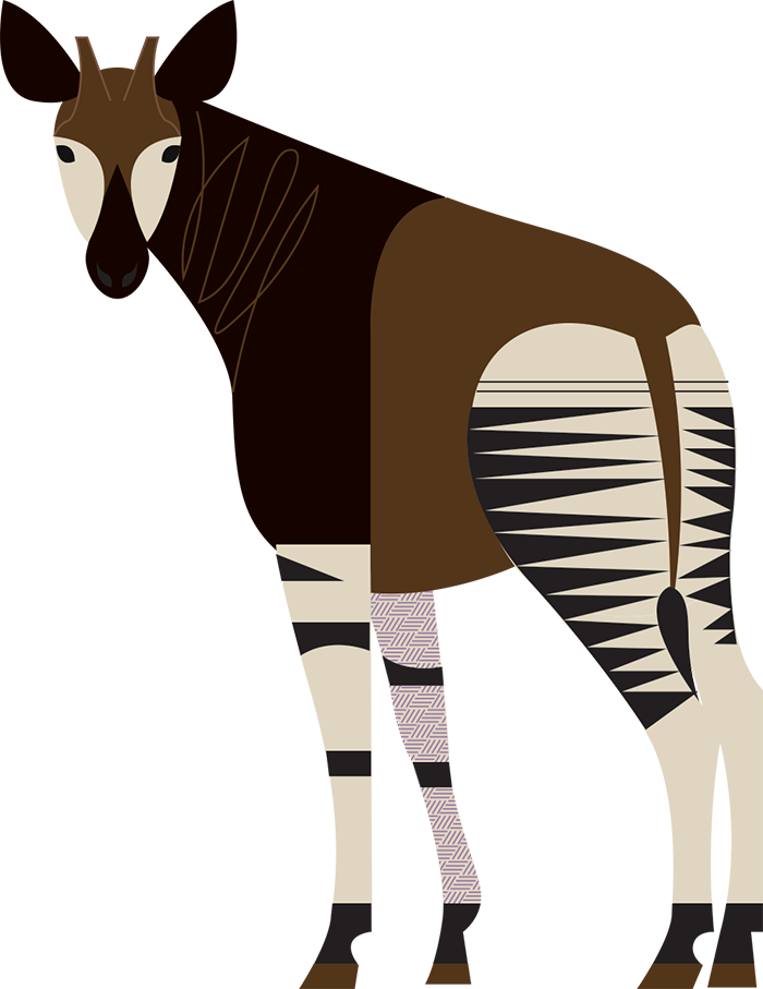 Okapis Png File (maroon, pink, black, silver)