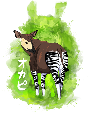 Okapis Png Hd Isolated (white, olive, black, gray)