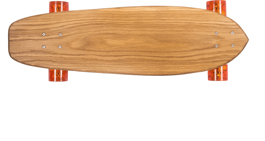 Skateboard Sport Equipment (chocolate, black, salmon)