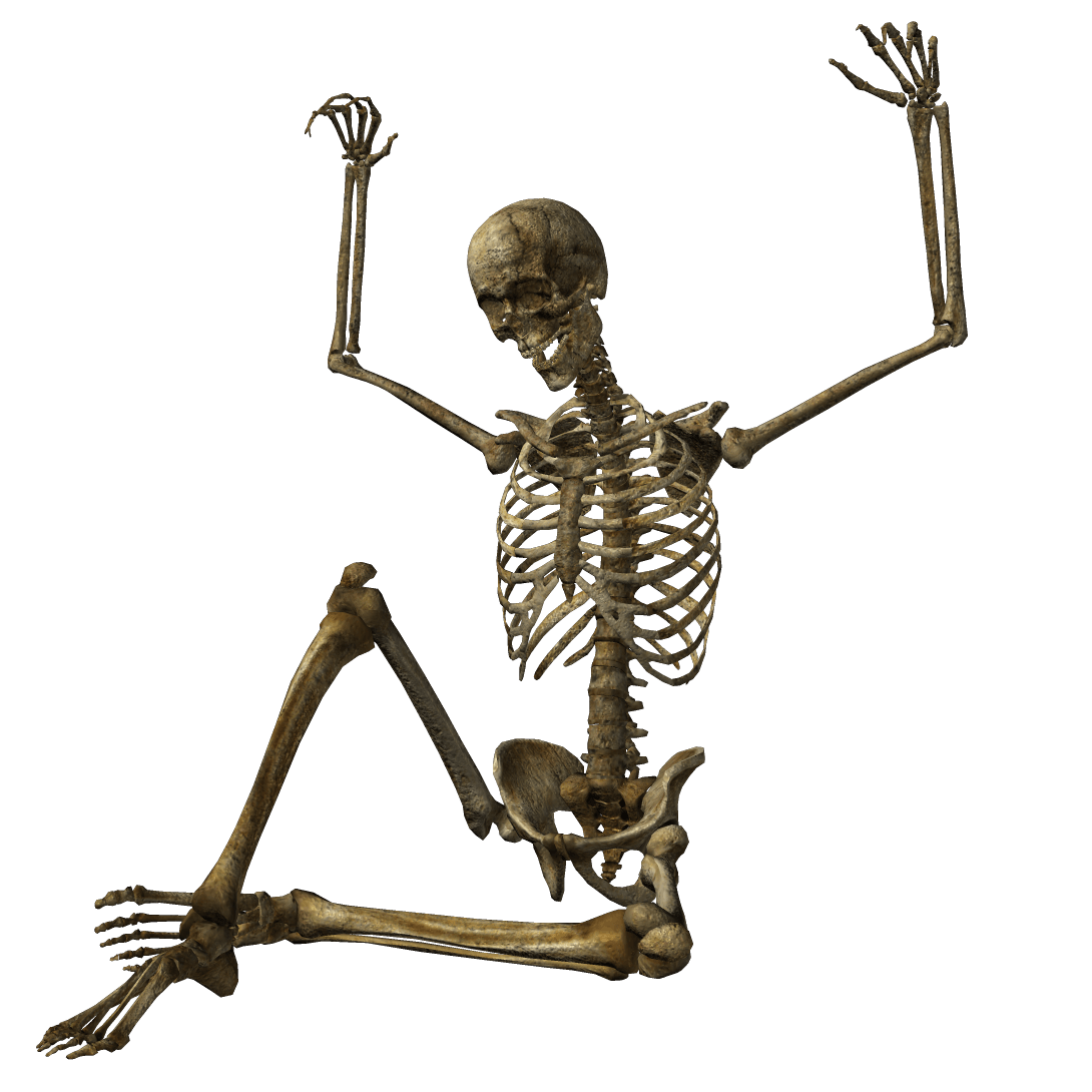 Skeleton Cartoon Png Isolated Image (gray)