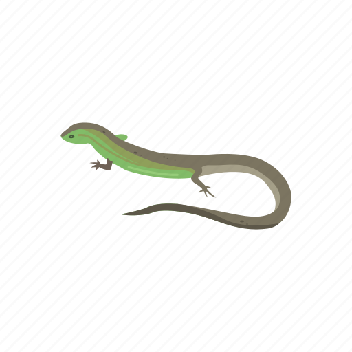 Skinks Png File (black)