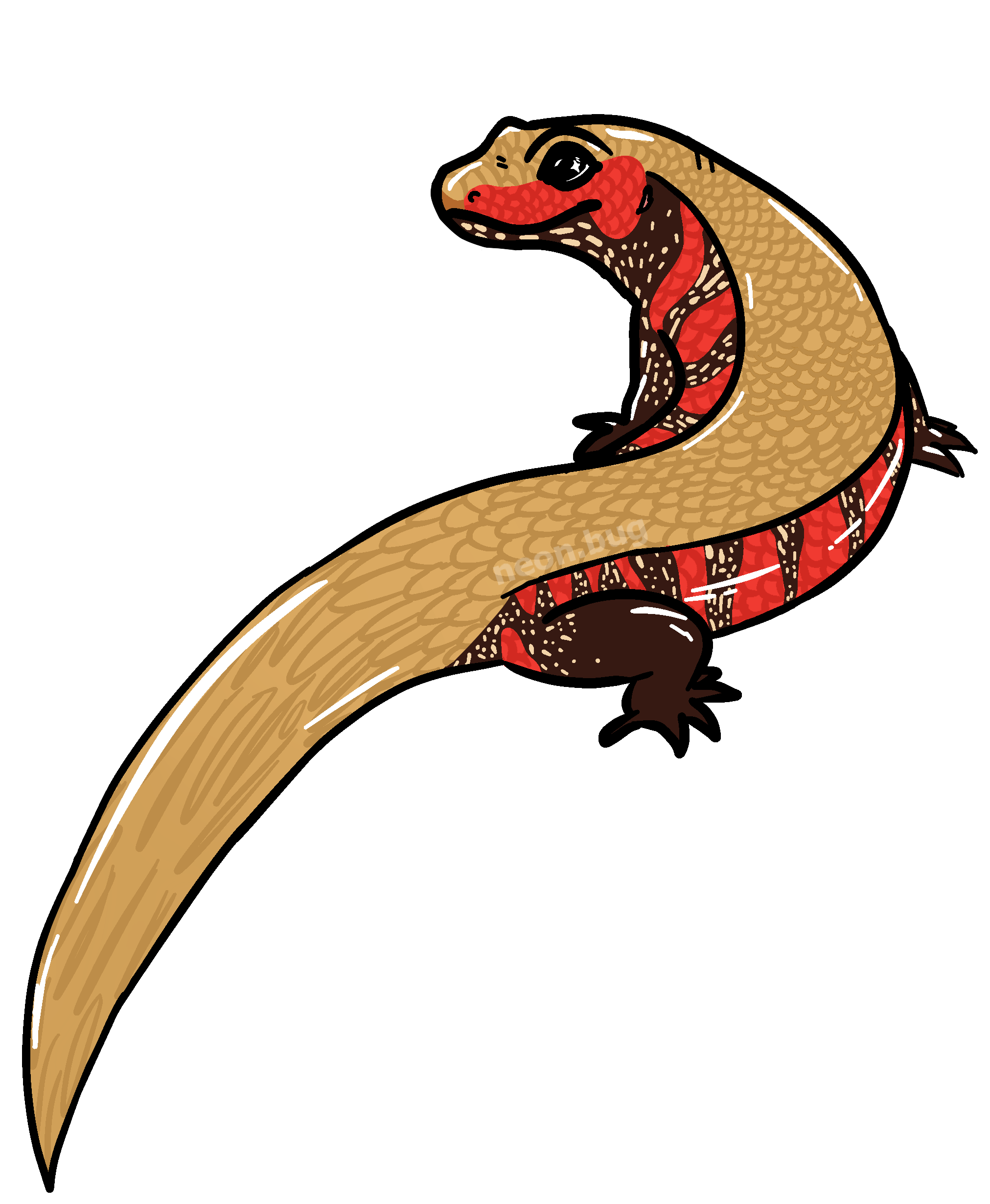 Skinks Png Hd (black, salmon)