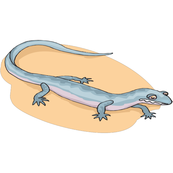 Skinks Png Isolated File (black, salmon, pink, silver)