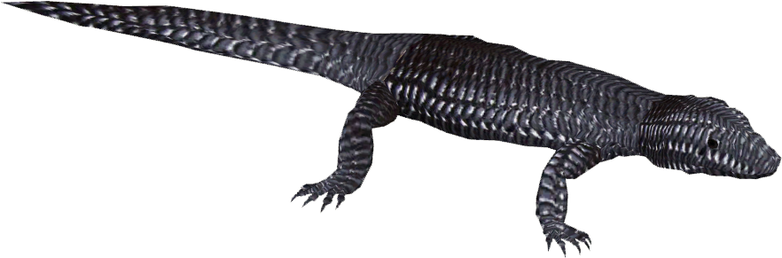 Skinks Png Isolated Hd (black, indigo)