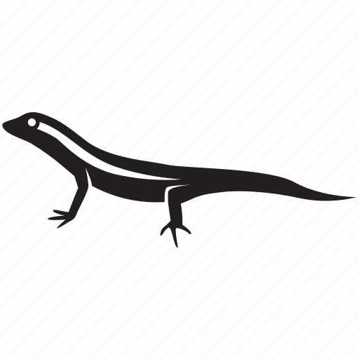 Skinks Png Photo (black)