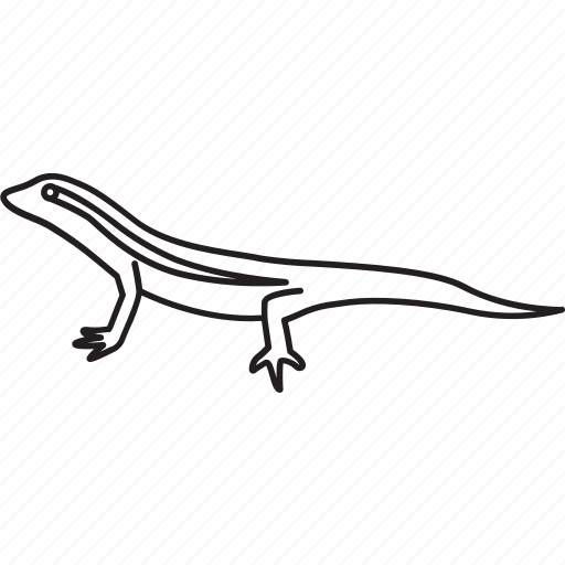 Skinks Png Photos (black)