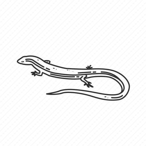 Skinks Png Pic (black)