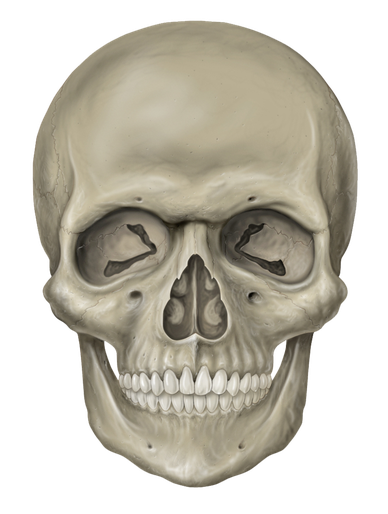 Skull Png Clipart (black, silver, gray)