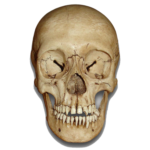 Skull Png Image (black, silver, gray)