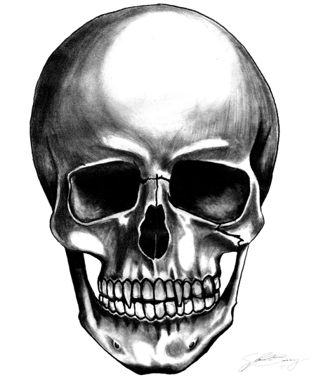 Skull Transparent Background (black, white)