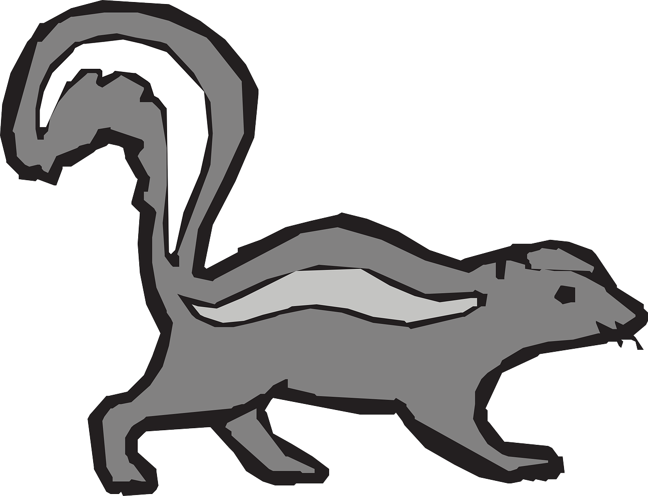 Skunk Background Isolated Png (black, silver, white, gray)