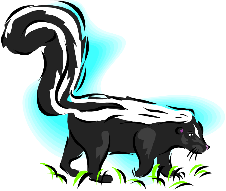 Skunk Png Isolated Picture (black, white, gray)