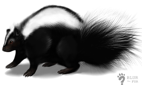 Skunk Png Transparent (black)