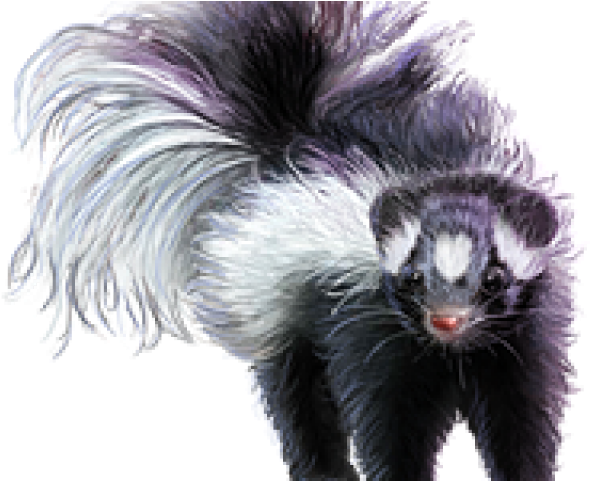 Skunks Png Free Download (black)