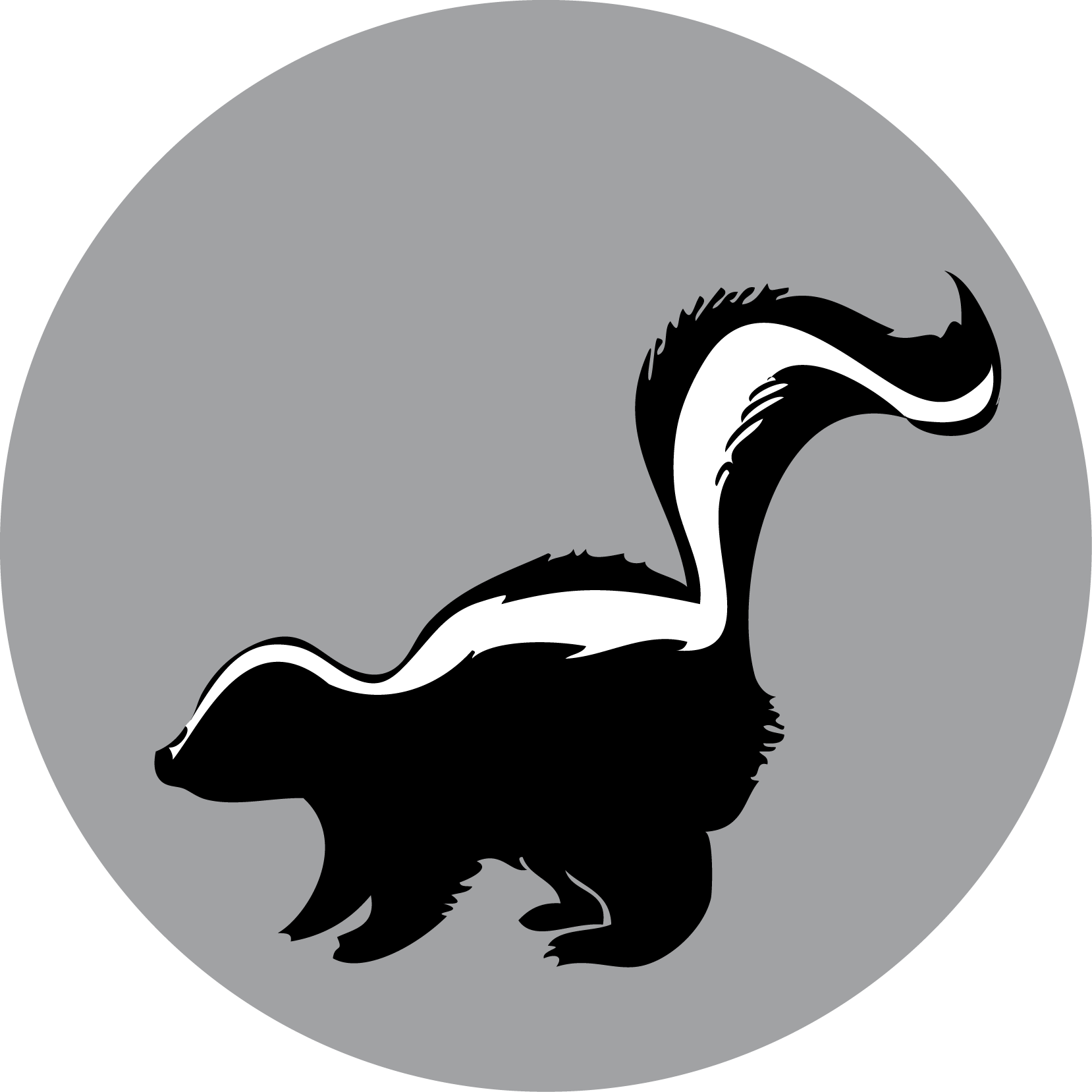 Skunks Png Isolated Image (black, silver, white)