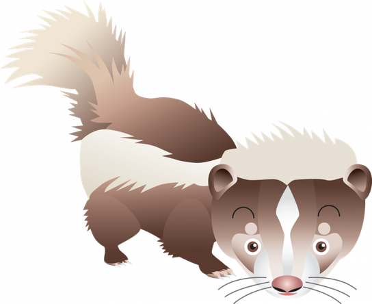 Skunks Png Photo (black, beige, maroon, olive, gray)