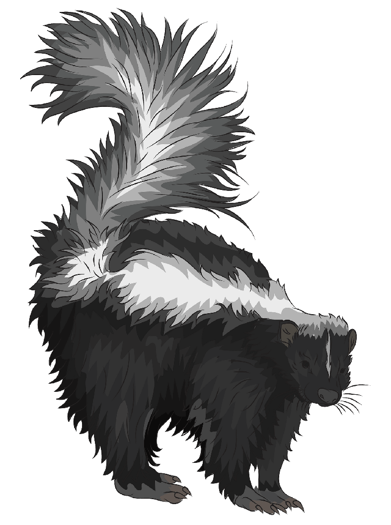 Skunks Png (black, lavender, gray)