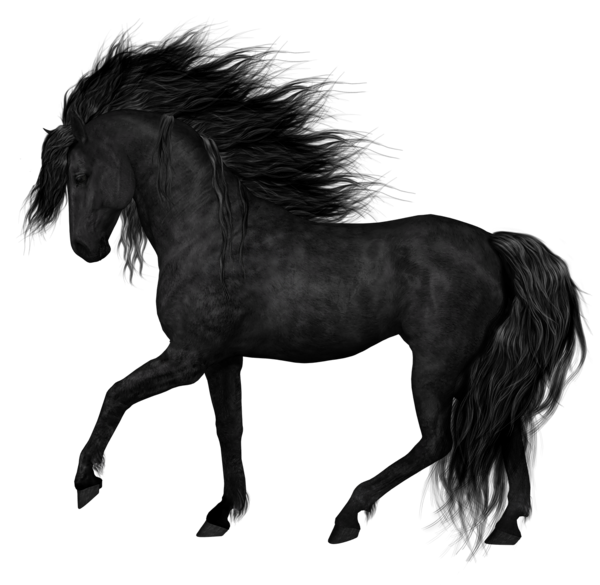 Black Arabian Horse Png Image (black)