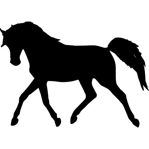 Black Arabian Horse Png Pic (black, gray)