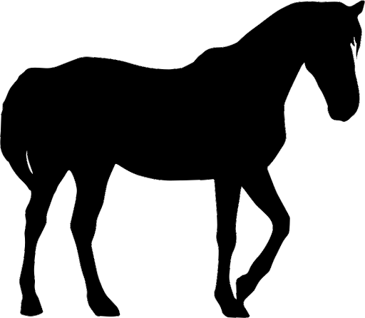 Black Arabian Horse Transparent Png (black)