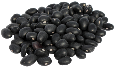 Black Beans Png Clipart (white, black, silver, lavender, gray)