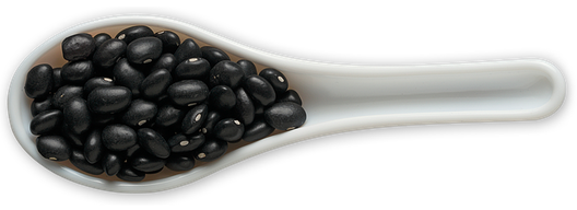 Black Beans Png File (black, gray)