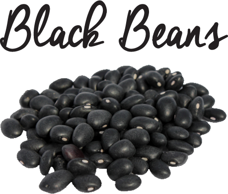 Black Beans Png Image (white, black, indigo)