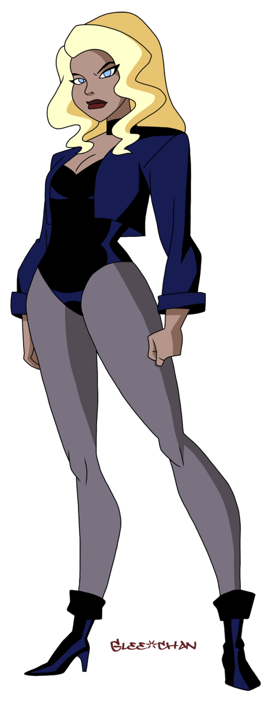 Black Canary Png Pic (black, gray, navy)