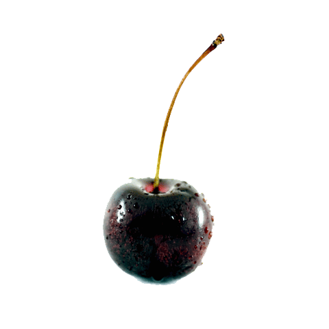 Black Cherry Png File (white, black)