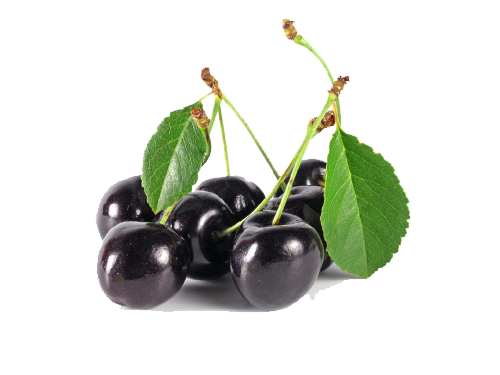 Black Cherry Png Image (white, black)