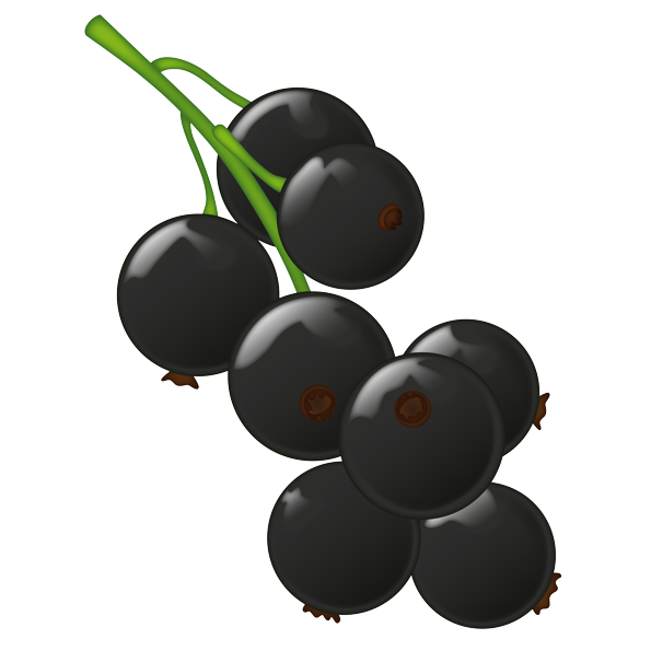 Black Currant Berries Emoji Png (white, black)