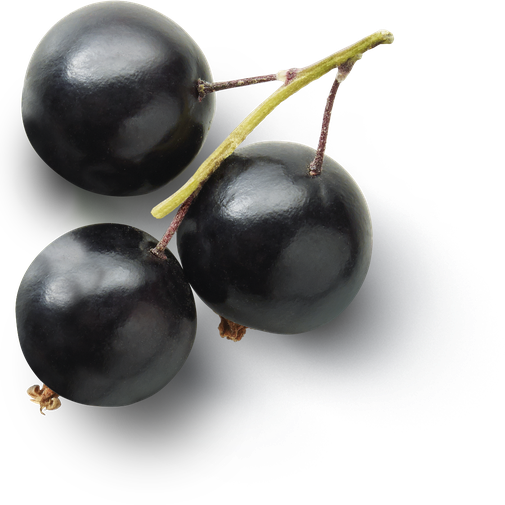 Black Currant Berries Fruit Png (black)