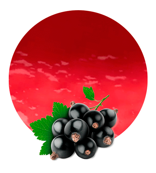 Black Currant Berries Icon Png (maroon, black, gray)