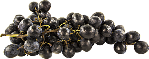 Black Grapes Png Clipart (black)