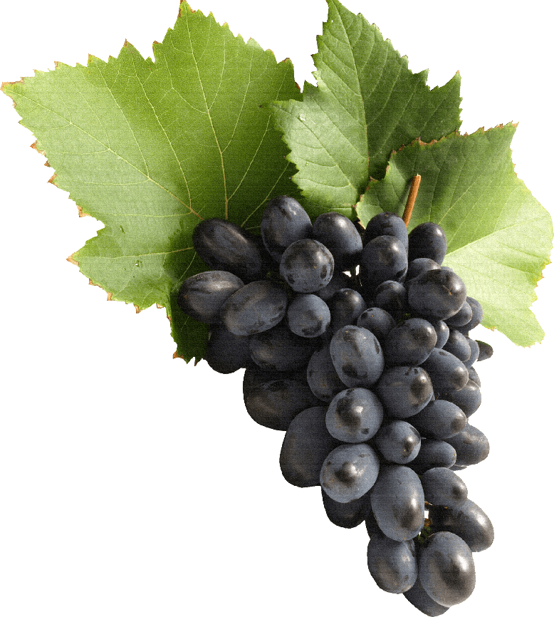 Black Grapes Png File (black, gray)