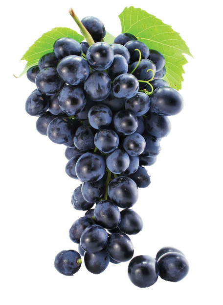 Black Grapes Png Photos (black, olive)