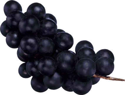 Black Grapes Png Pic (black)