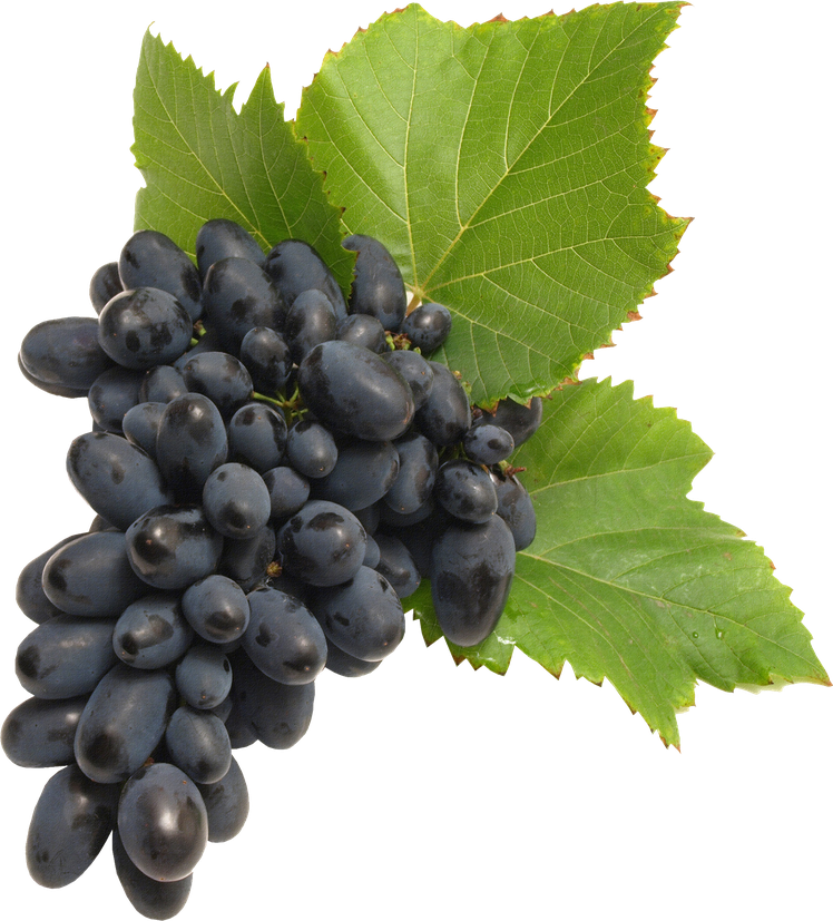 Black Grapes Transparent Background (black, indigo)