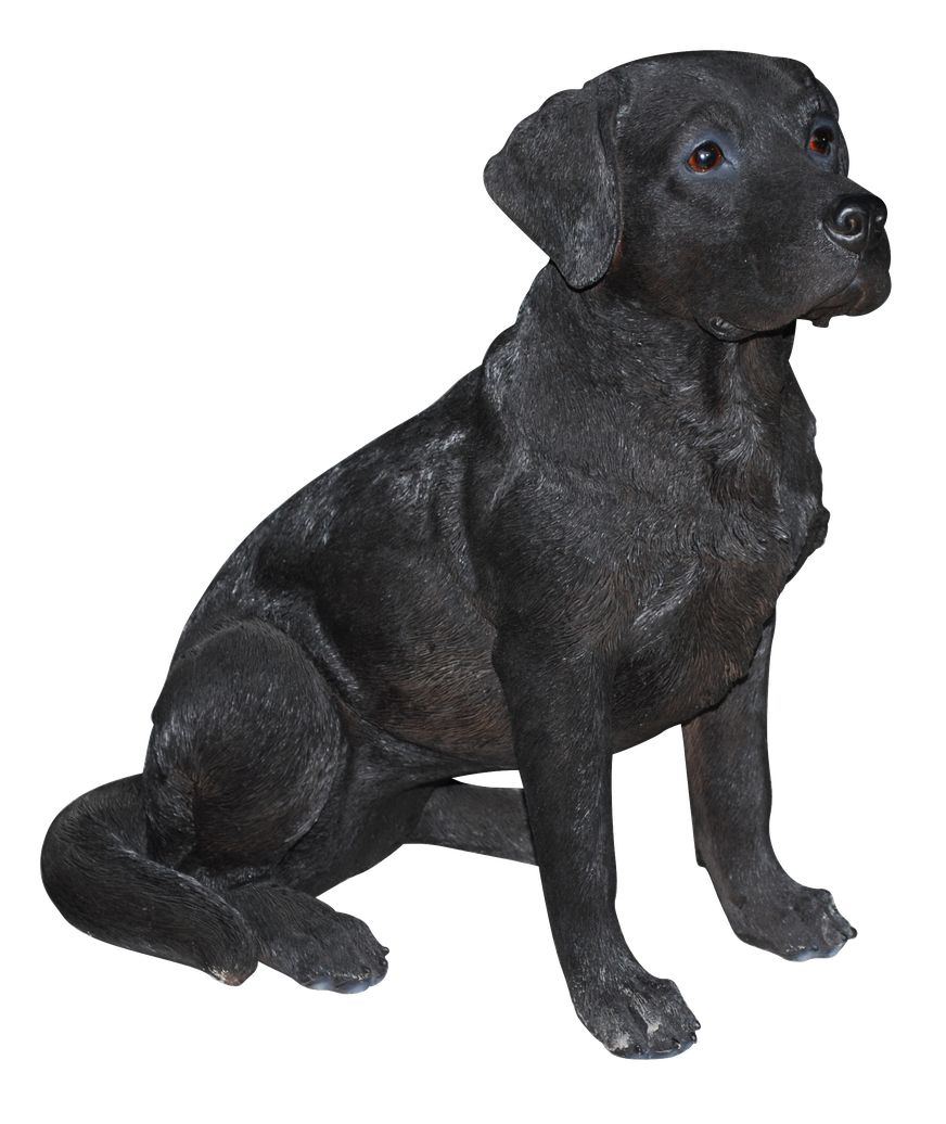 Black Labrador Dog Retriever Sitting Png (black, indigo)