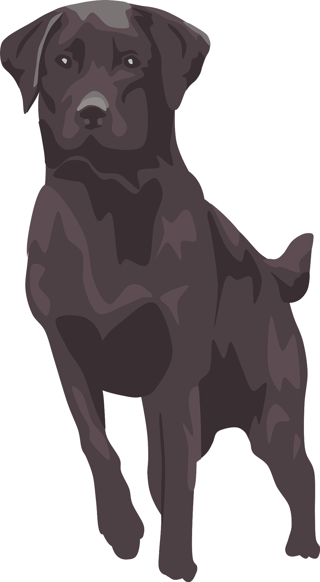 Black Labrador Dog Vector Png (black, gray, indigo)