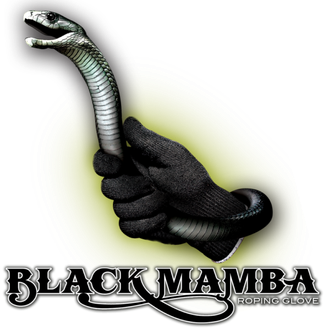 Black Mamba Png Image (black, olive)