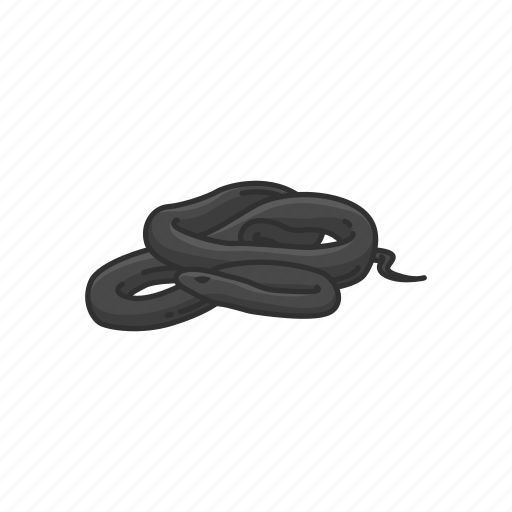 Black Mamba Png Image (black)