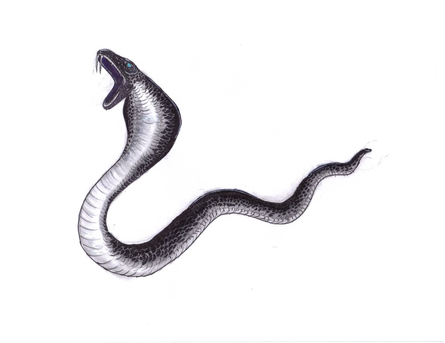 Black Mamba Snake Png Hd Image (white)